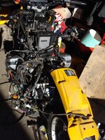 DSC01752.jpg