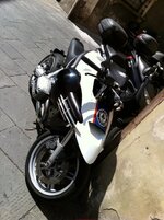 IMG_0077_2.jpg