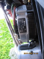 IMG_9096.JPG