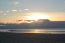 DSC_003.jpg