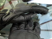P1000820.JPG