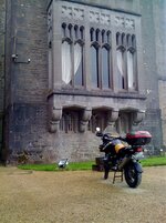IMG_0993.jpg