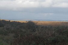 DSC_6940.JPG