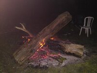 DSC01369.jpg