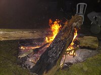 DSC01372.jpg