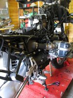 IMG_8158.JPG