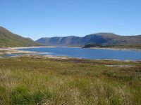 DSC02993.jpg