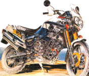 XTZ-det (Small).gif