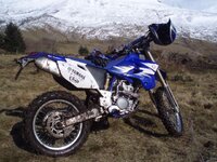 Glen doll 001.jpg