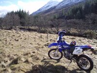 Glen doll 003.jpg
