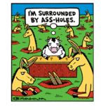 ass holes.gif