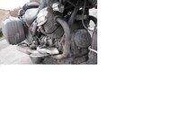 grottyguzzi.jpg