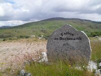 d5.jpg