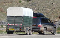 horsebox.jpg