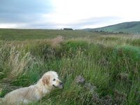 aonb1.jpg