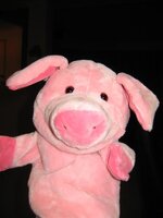 The_Pig 001 (Medium).jpg The_Pig 001 (Medium).jpg