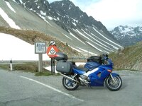 Albula.jpg
