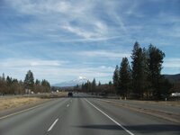 Shasta.jpg