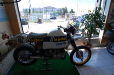 DSC_0429 (Medium).JPG