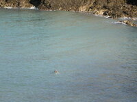DSCN1051.JPG