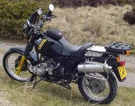 Hornet NS emailable.jpg