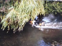 Pic009.JPG