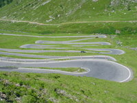 cart track.jpg