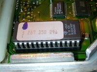picture 007.jpg