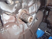 No Splines two.jpg