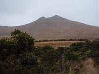 mourne 008.jpg