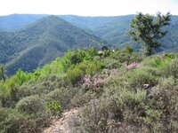 IMG_2655.jpg