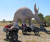 IMG_1351.jpg
