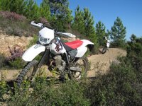 IMG_2653.jpg