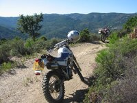 IMG_2654.jpg