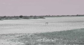 _DSC2509.jpg