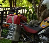 _DSC2577.jpg