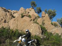 IMG_2670.jpg