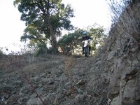 IMG_2673.jpg