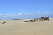 _DSC2676.jpg