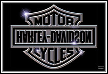 hdtransform copy.jpg