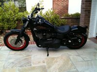 BlackBob2 Sep10 (Small).jpg