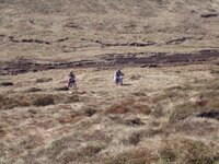 overhill trip 7.jpg