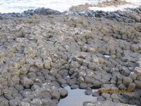 Giants Causeway 6.jpg