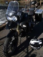 Tiger6.jpg