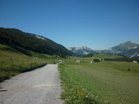 Col des Glières.jpg Col des Glières.jpg