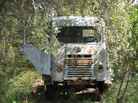 IMG_2868.jpg