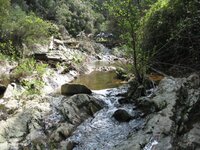 IMG_2870.jpg