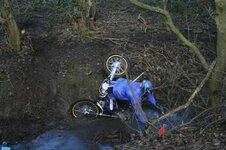 DSC_0012.jpg