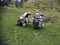 IMG_0054.jpg