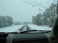 AZ 2011 (10).JPG